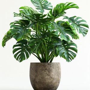 product 01